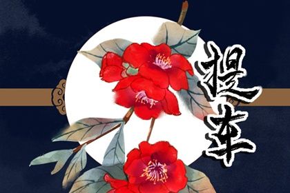 2025年06月20日提车是否合时宜？ 今日提车买车好吗