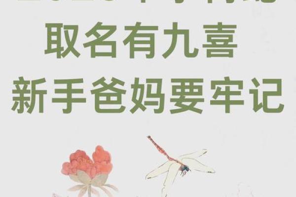 蛇宝宝名字创意集