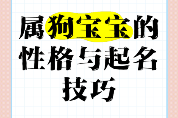 狗宝宝男孩起名：精选富有内涵的名字集锦