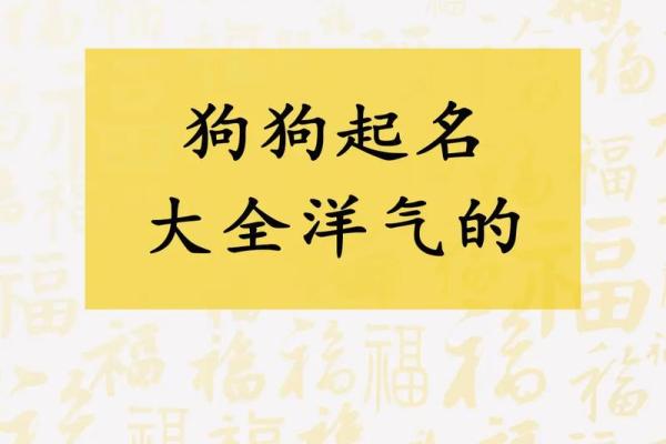 狗宝宝男孩起名：精选富有内涵的名字集锦