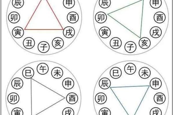 天干地支相冲相刑相合，破解你的运势密码，快来一探究竟