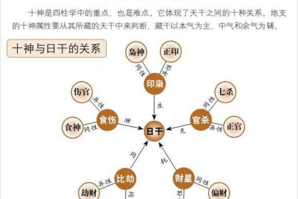 五行天干地支入门必看轻松掌握相生相克秘密