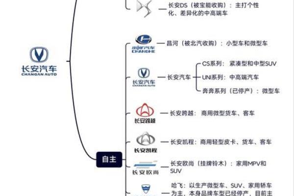 汽车代理公司命名创意与技巧揭秘