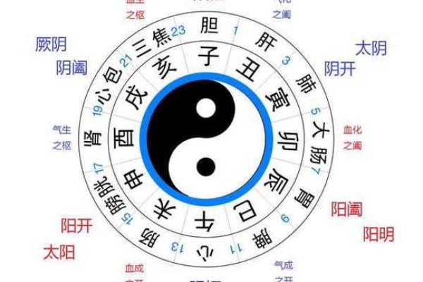 神秘符号解读：后天八卦地支图带你走进易学殿堂