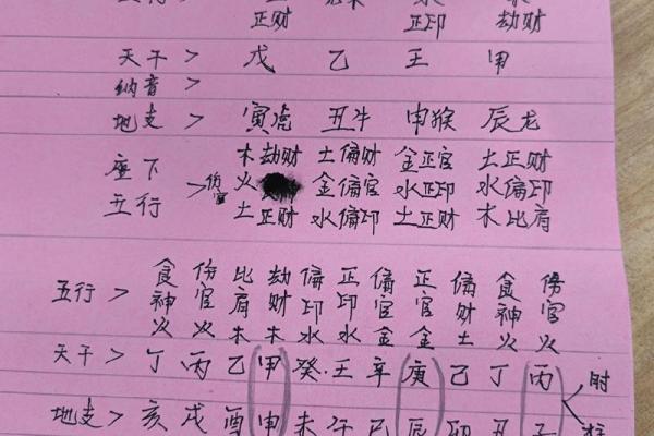 张五行属什么？五行分析揭示命名玄机