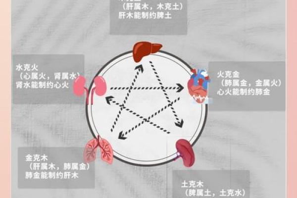 五行理论在各国文化中的应用与表现