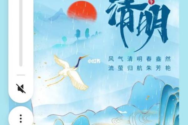 清明节：缅怀与祭祀的传统节日