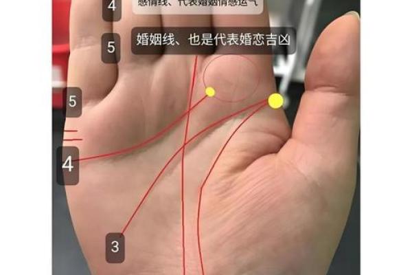 手相揭秘：指尖藏命运，一招识人生运势