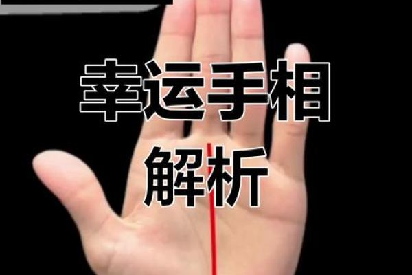 手相细节全解析，揭秘你的命运密码！