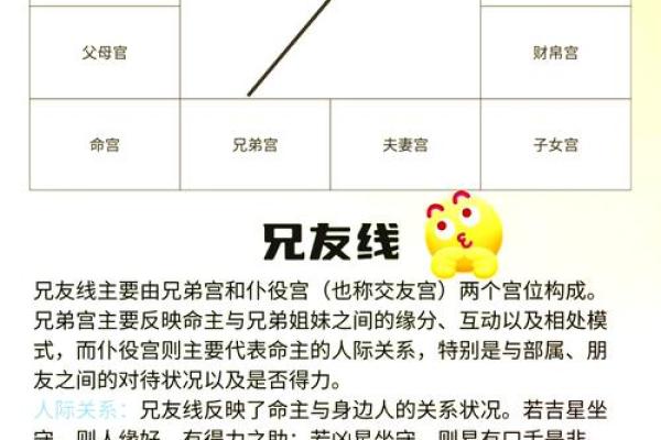 手相胜于面相，揭秘命运密码的神奇之处