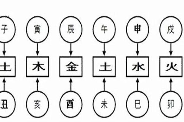 解锁生肖奥秘：月令地支透出预示未来运势