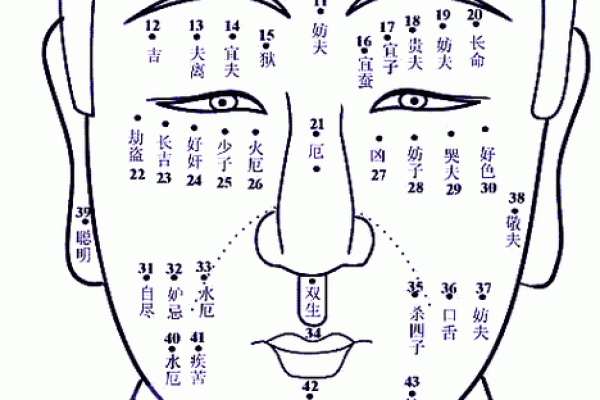 脸上的痣相面相，藏着你的健康和财运，你了解多少？