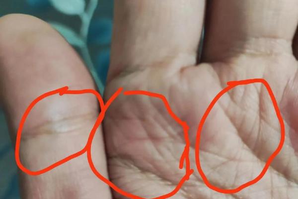 凤眼手相揭秘：一眼识真金，财运亨通的象征！