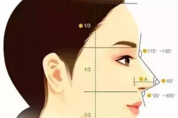 面相三停比例：揭秘面部黄金比例的奥秘