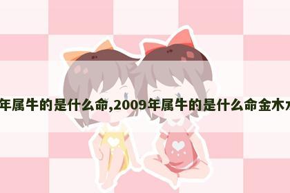 2009年属牛的是什么命,2009年属牛的是什么命金木水火土