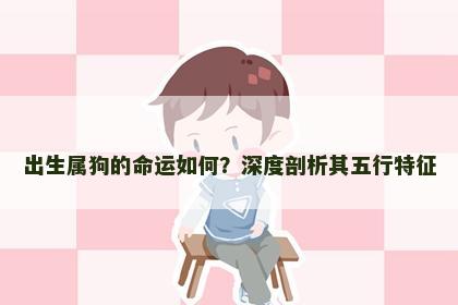 出生属狗的命运如何？深度剖析其五行特征