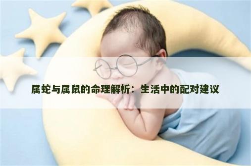 属蛇与属鼠的命理解析：生活中的配对建议