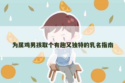 为属鸡男孩取个有趣又独特的乳名指南