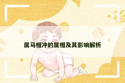 属马相冲的属相及其影响解析