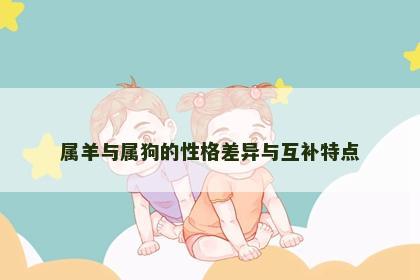 属羊与属狗的性格差异与互补特点