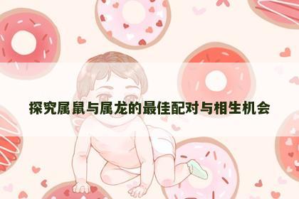 探究属鼠与属龙的最佳配对与相生机会