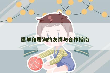 属羊和属狗的友情与合作指南