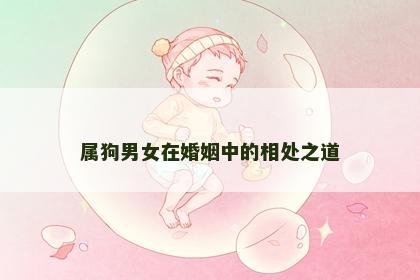 属狗男女在婚姻中的相处之道