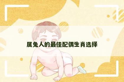 属兔人的最佳配偶生肖选择