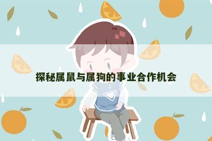 探秘属鼠与属狗的事业合作机会